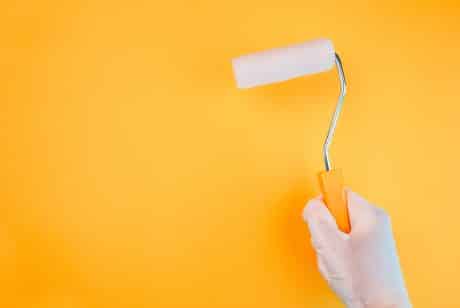 choosing the right paint season